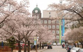 Đại học Korea – Trường đại học nổi tiếng bậc nhất xứ Hàn